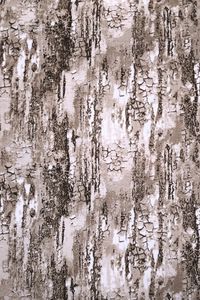 SOFT 4081 brown 200см