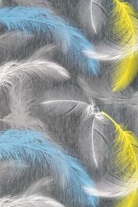 Безворсовая матовая дорожка DF6L